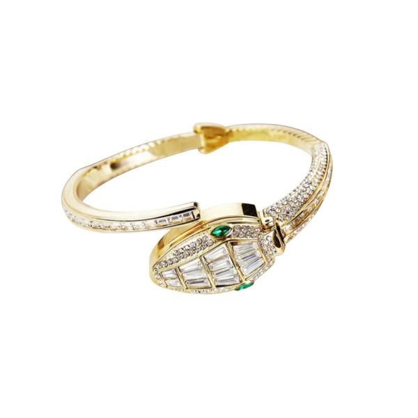 Snake Wrap Watch